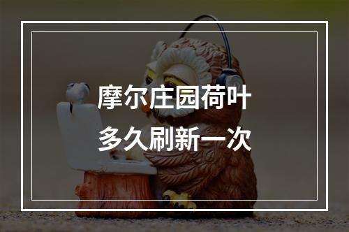 摩尔庄园荷叶多久刷新一次