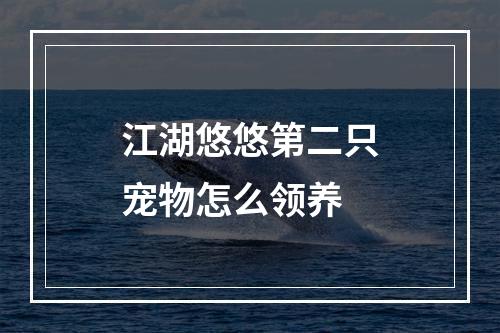 江湖悠悠第二只宠物怎么领养