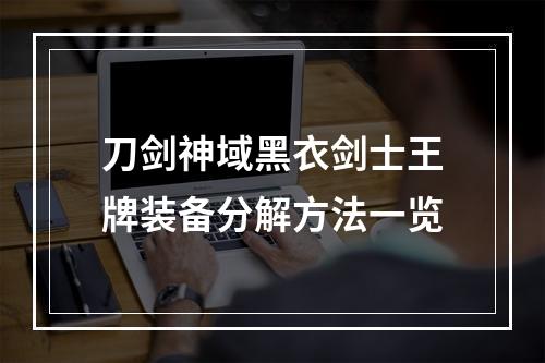 刀剑神域黑衣剑士王牌装备分解方法一览