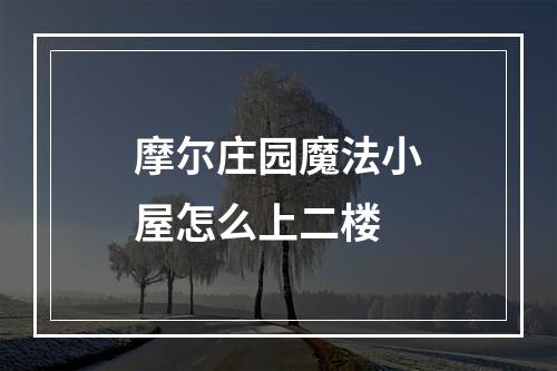 摩尔庄园魔法小屋怎么上二楼