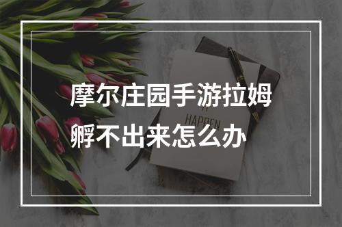 摩尔庄园手游拉姆孵不出来怎么办