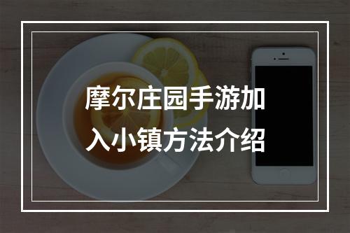 摩尔庄园手游加入小镇方法介绍