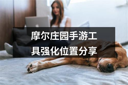 摩尔庄园手游工具强化位置分享