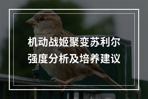 机动战姬聚变苏利尔强度分析及培养建议