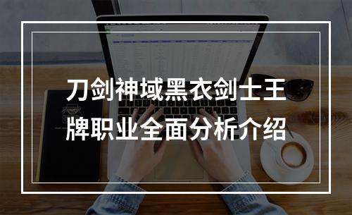 刀剑神域黑衣剑士王牌职业全面分析介绍