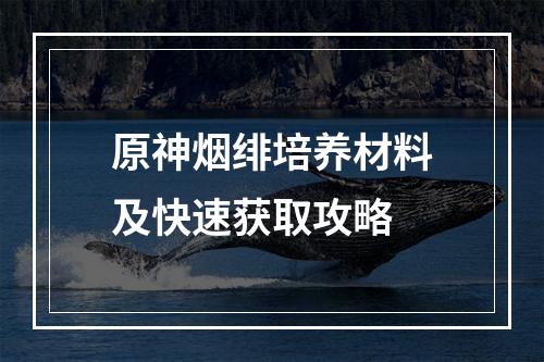 原神烟绯培养材料及快速获取攻略