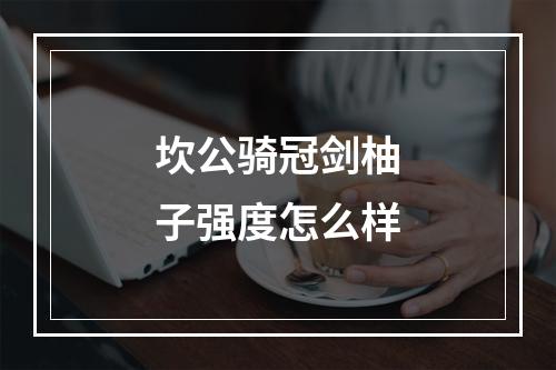 坎公骑冠剑柚子强度怎么样