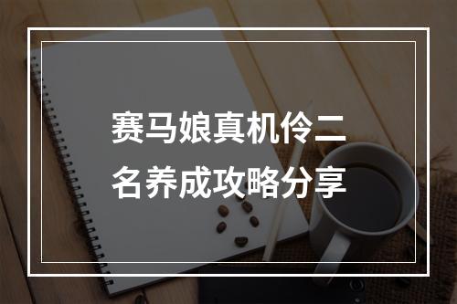 赛马娘真机伶二名养成攻略分享