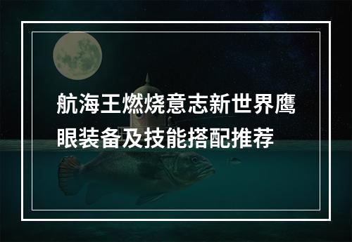 航海王燃烧意志新世界鹰眼装备及技能搭配推荐