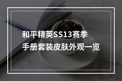 和平精英SS13赛季手册套装皮肤外观一览