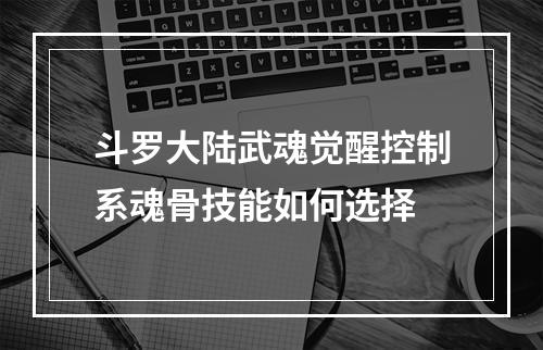 斗罗大陆武魂觉醒控制系魂骨技能如何选择