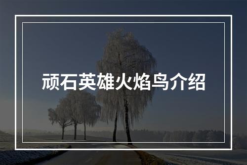 顽石英雄火焰鸟介绍