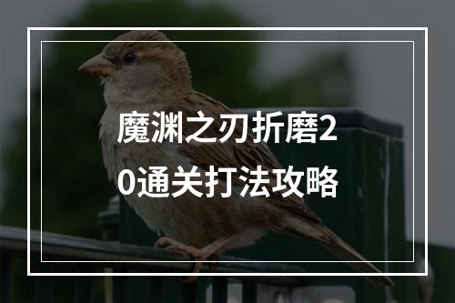 魔渊之刃折磨20通关打法攻略