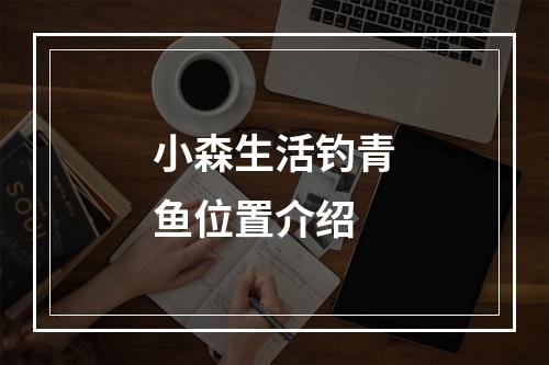 小森生活钓青鱼位置介绍