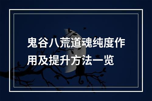 鬼谷八荒道魂纯度作用及提升方法一览