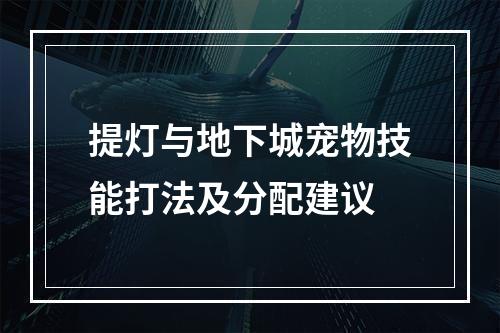 提灯与地下城宠物技能打法及分配建议