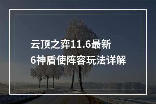 云顶之弈11.6最新6神盾使阵容玩法详解