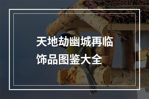 天地劫幽城再临饰品图鉴大全