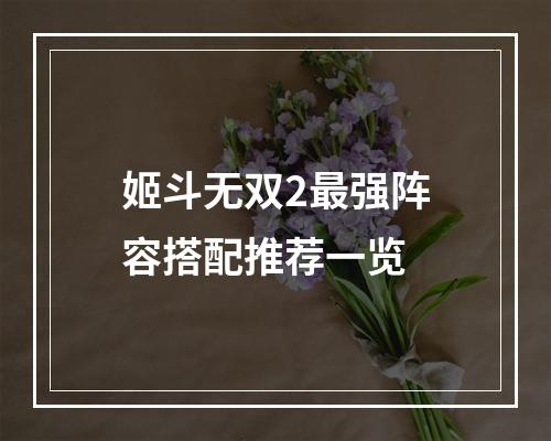 姬斗无双2最强阵容搭配推荐一览