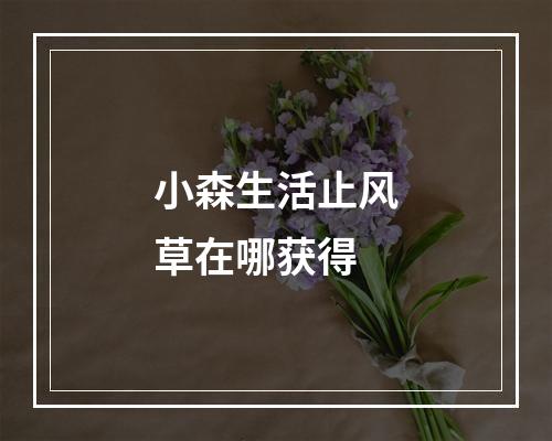 小森生活止风草在哪获得