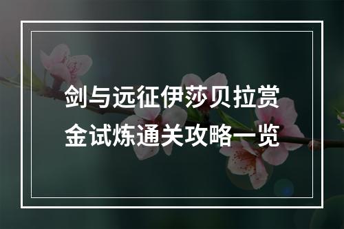 剑与远征伊莎贝拉赏金试炼通关攻略一览