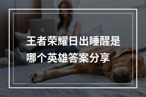 王者荣耀日出睡醒是哪个英雄答案分享