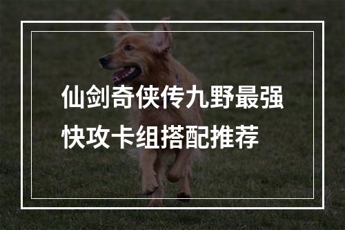 仙剑奇侠传九野最强快攻卡组搭配推荐