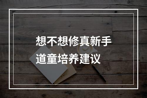 想不想修真新手道童培养建议