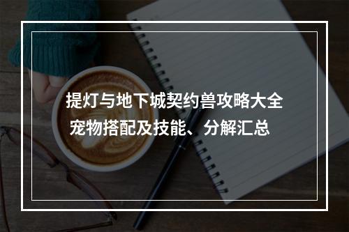 提灯与地下城契约兽攻略大全 宠物搭配及技能、分解汇总