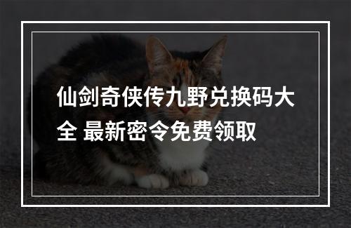 仙剑奇侠传九野兑换码大全 最新密令免费领取