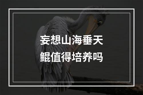 妄想山海垂天鲲值得培养吗