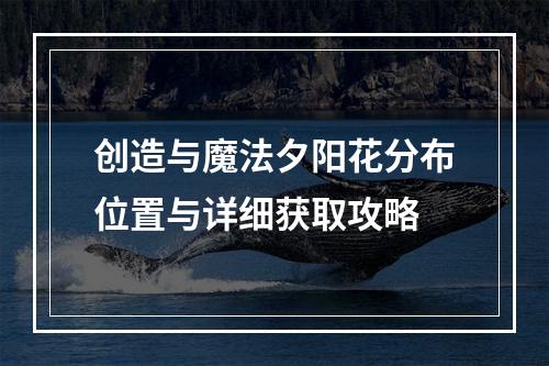 创造与魔法夕阳花分布位置与详细获取攻略