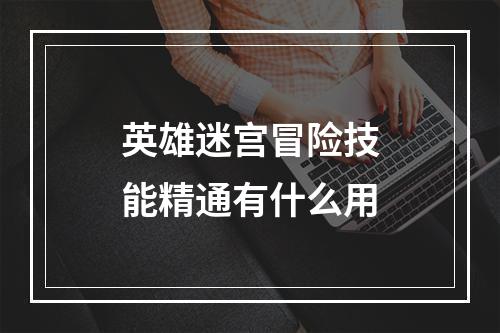 英雄迷宫冒险技能精通有什么用