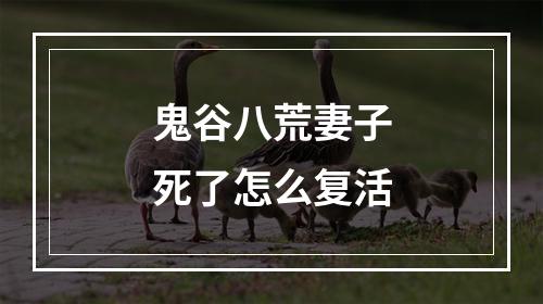 鬼谷八荒妻子死了怎么复活