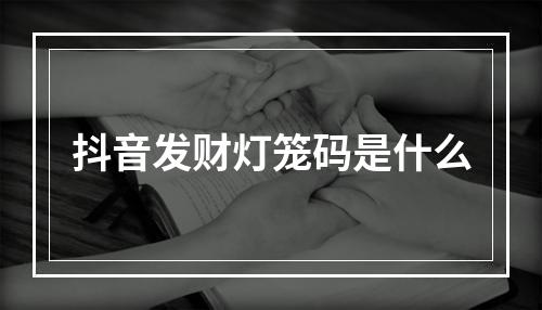 抖音发财灯笼码是什么