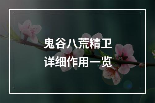 鬼谷八荒精卫详细作用一览