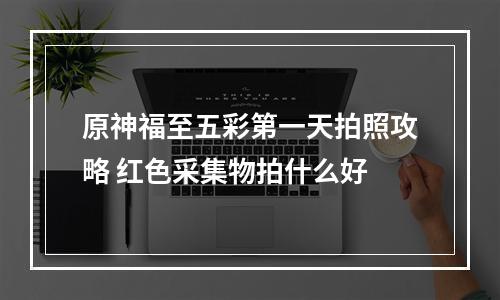 原神福至五彩第一天拍照攻略 红色采集物拍什么好