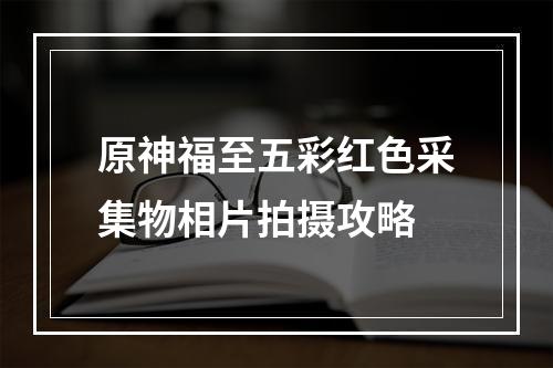 原神福至五彩红色采集物相片拍摄攻略