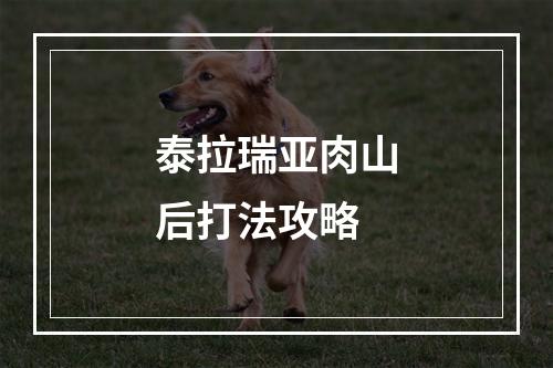 泰拉瑞亚肉山后打法攻略