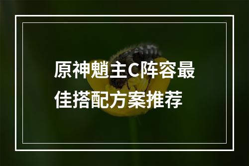 原神魈主C阵容最佳搭配方案推荐