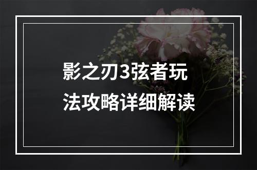 影之刃3弦者玩法攻略详细解读