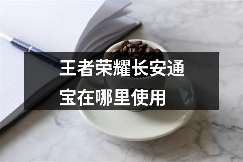 王者荣耀长安通宝在哪里使用