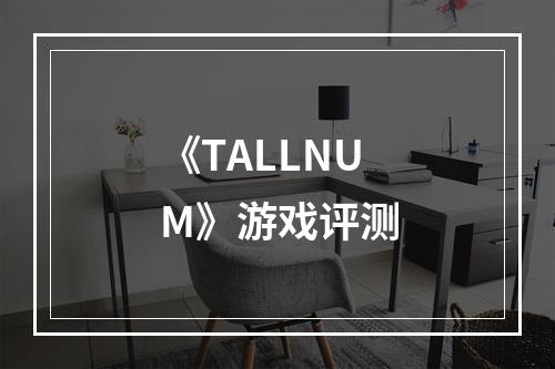 《TALLNUM》游戏评测