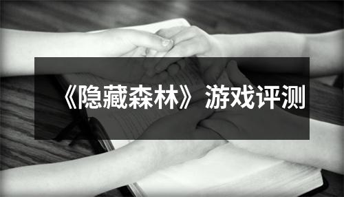 《隐藏森林》游戏评测