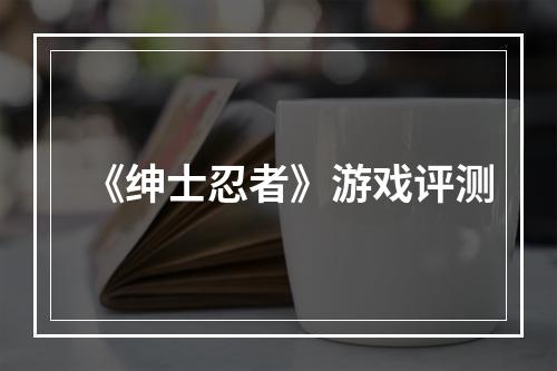 《绅士忍者》游戏评测