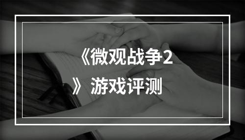 《微观战争2》游戏评测