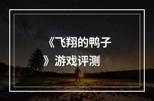 《飞翔的鸭子》游戏评测