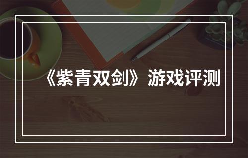 《紫青双剑》游戏评测