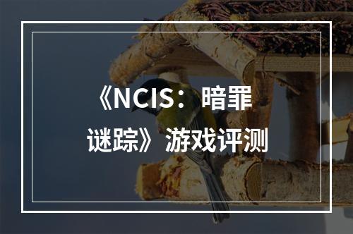 《NCIS：暗罪谜踪》游戏评测