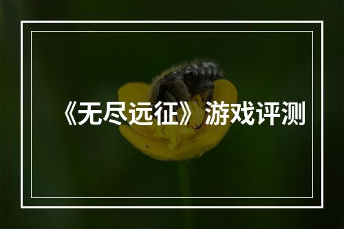 《无尽远征》游戏评测